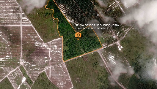 Imagen tomada vía satélite