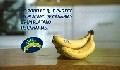 La campaña de Plátano de Canarias consigue que el 90% de los compradores lo prefieran frente a la competencia