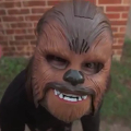 Kohl’s arrasa al unirse en tiempo real al viral de Chewbacca