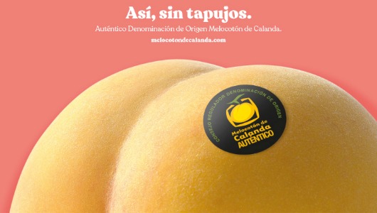 La campaña es obra de Montaña Studio La campaña es obra de Montaña Studio