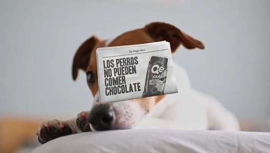 La campaña es obra de Lola MullenLowe Barcelona La campaña es obra de Lola MullenLowe Barcelona