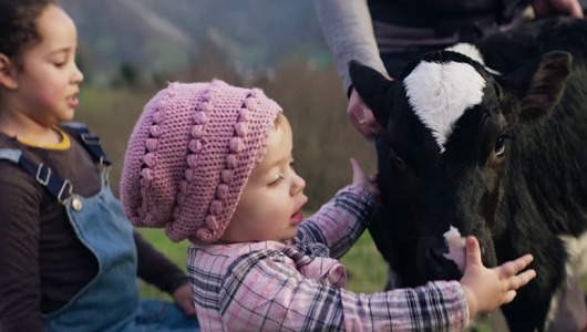 La campaña es obra de Ogilvy La campaña es obra de Ogilvy