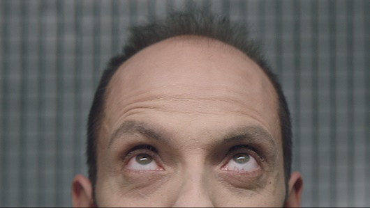 La campaña es obra de Darwin Social Noise La campaña es obra de Darwin Social Noise