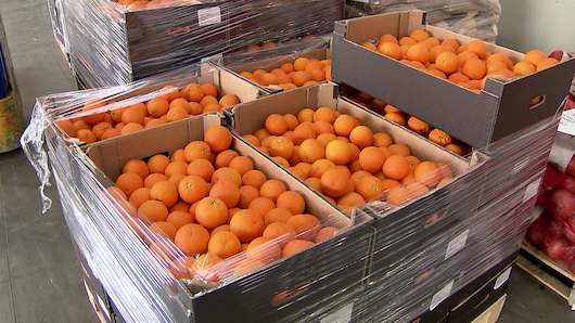 Uno de los alimentos que ha donado la compañía son naranjas Uno de los alimentos que ha donado la compañía son naranjas