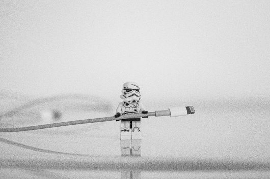 Fuente: https://unsplash.com/ Fuente: https://unsplash.com/