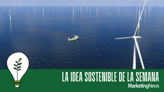 Imagen CGI que muestra cómo podría ser el cultivo de algas entre las turbinas eólicas marinas. Imagen CGI que muestra cómo podría ser el cultivo de algas entre las turbinas eólicas marinas.